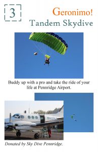 2017 #3 Live Auction Poster (Skydiving)