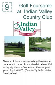 2017 #9 Live Auction Poster (Indian Valley Country Club)
